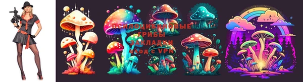 метадон Каменногорск