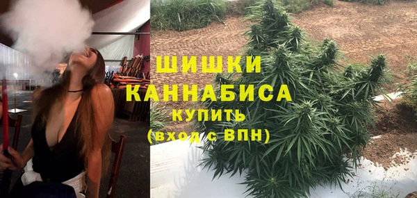 метадон Каменногорск